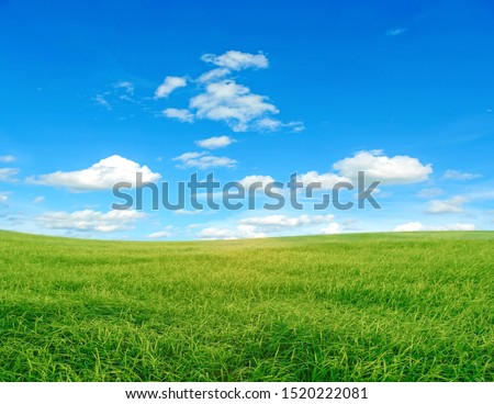 landscape picture of green grass field and blue sky with white clouds.