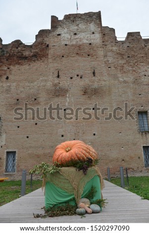 The pumpkin and the castle