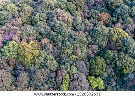 Autumn colours taken by drone from above Kidsgrove, Staffordshire