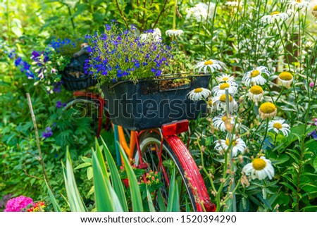 bicycle in a flower bed as decoration
