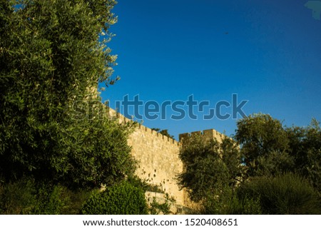 Eastern castle medieval fortification building in tree branches natural frame on empty blue sky background, Middle East ancient architecture stone wall 