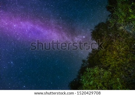 Lovely long exposure night photography. Milky Way in the night sky. Stars and space. Trees in the foreground