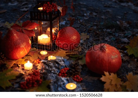 Orange pumpkins with a lamp for candles and burning candles against a dark forest and fallen yellow foliage. Halloween and Thanksgiving