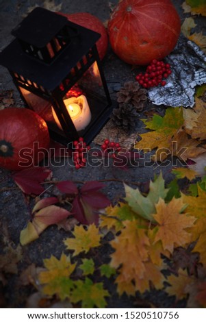 Orange pumpkins with a lamp for candles and burning candles against a dark forest and fallen yellow foliage. Halloween and Thanksgiving