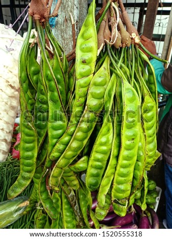 The following is a picture of the most popular petai vegetables