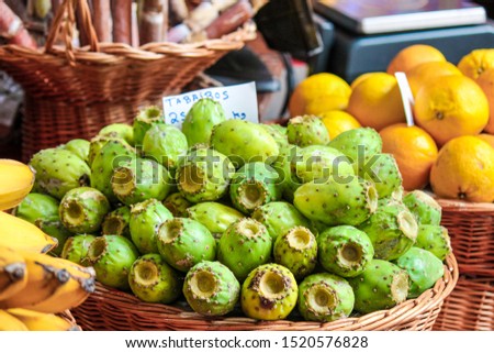 Green opuntia fruits on a local market in Funchal, Madeira, Portugal. Prickly pears or Indian figs. Exotic fruits, grown on cactus. TRANSLATION OF THE SIGN: Tabaibos - opuntia fruits in Portuguese.