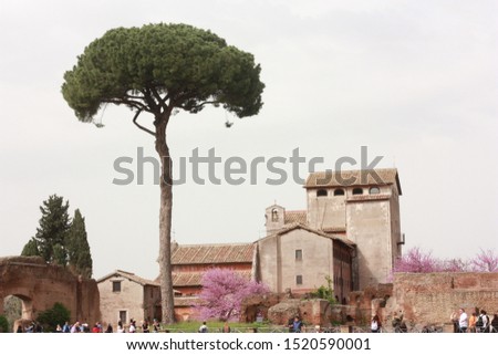 Ancient ruins and buildings in Rome, Italy with trees