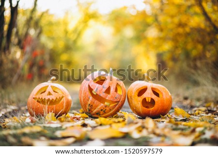 Three cute halloween pumpkins in autumn park Royalty-Free Stock Photo #1520597579
