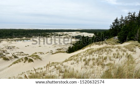 Picture of the Oregon Dunes National Recreation Area in Oregon, USA.