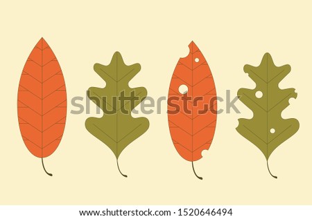 Autumn leaves set. Simple cartoon flat style, vector illustration.