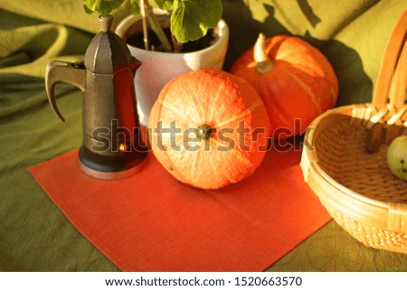 Orange pumpkins and black coffeepot on an orange linen napkin at sunset. Autumn fall sunny still life on a green background. Pumpkins in the decor. Place for text.Thanksgiving, pumpkin patch concept.