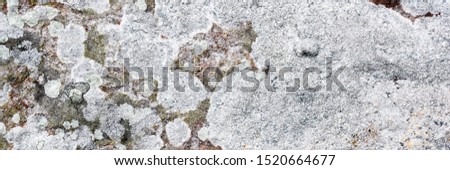 Natural rough wild stone texture 