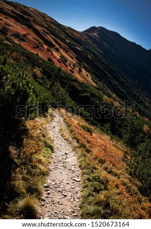 seasonal background Mountain walkway to autumn landscape
