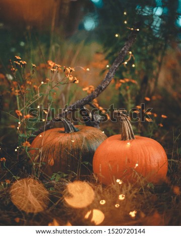 Halloween pumpkin carving in woods