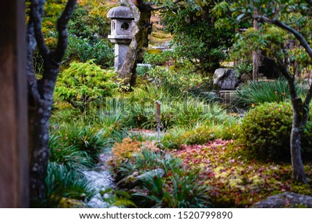 Zen garden design close up, small river pass across in garden with fallen leaf of maple and many kind of leaves,Japanese lantern decorate close to small green bushes in Japanese garden.