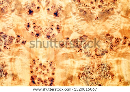 Beautiful veneered wooden veneer background with leopard prints.