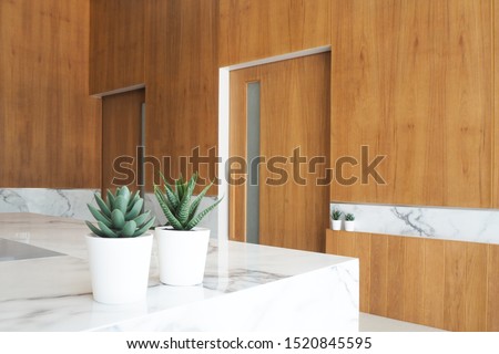 The interior of the dental clinic, woode] door minimalist style, consisting of wood, white marble and trees makes it look beautiful and comfortable.