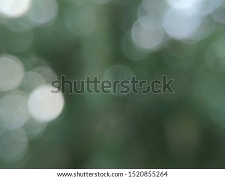 White bokeh light from lush leaves in the forest