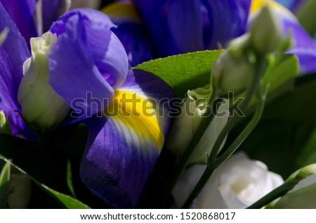 bridal bouquet with purple irises, wedding rings