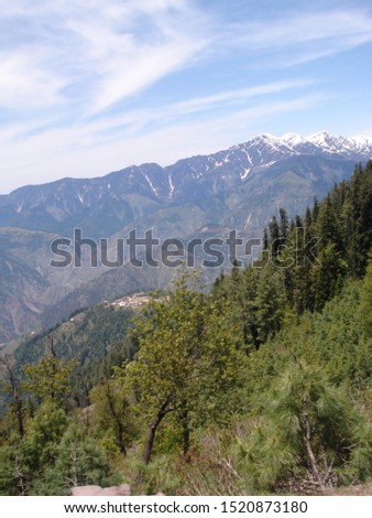 View of mountains and pine trees in the northern tip of Pakistan. 