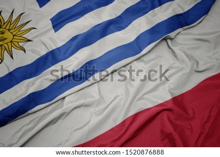 waving colorful flag of poland and national flag of uruguay. macro