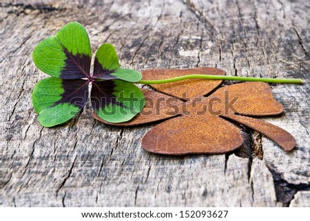 four-leaf clover with sheet shamrock on wood