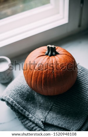 Pumkins with copy space and cozy knitted