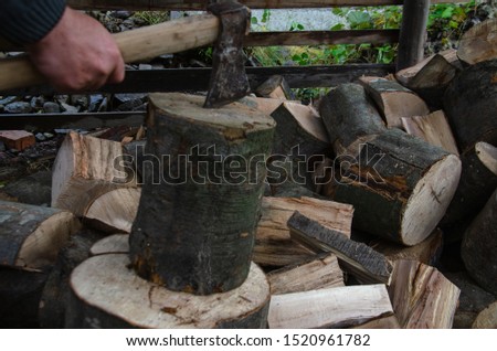 harvesting firewood for the winter with your hands and an ax