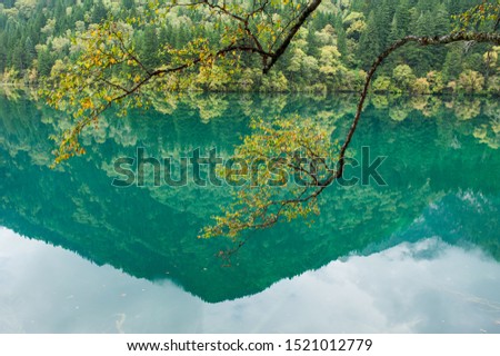 view of colorful lake in jiuzhaigou national park, Sichuan, china , Jiuzhaigou Valley was recognize by UNESCO as a World Heritage Site and a World Biosphere Reserve 