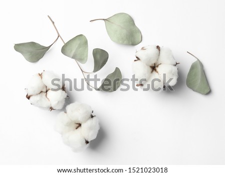 Composition with cotton flowers on white background, top view Royalty-Free Stock Photo #1521023018