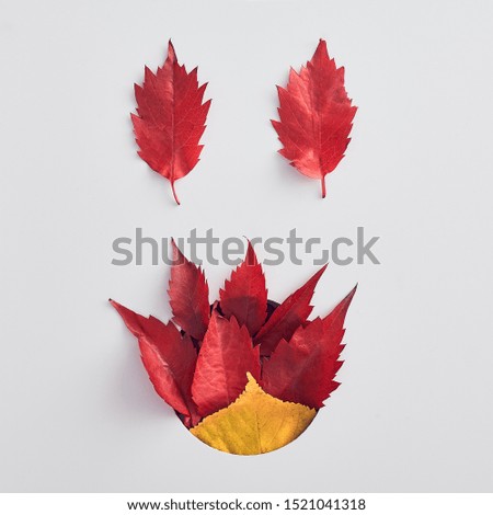 Autumn forest leaves flat lay. Red dry elm leaves on white background. Halloween abstract face, natural decoration. Autumnal vivid leaf. Fall flora concept