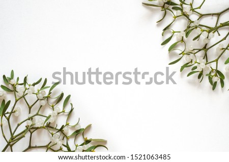 Frame of mistletoe branch with green leaves and white berries on a white background