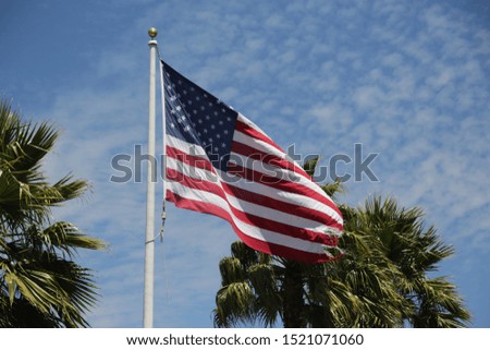   in USA the waving flag in the sky
