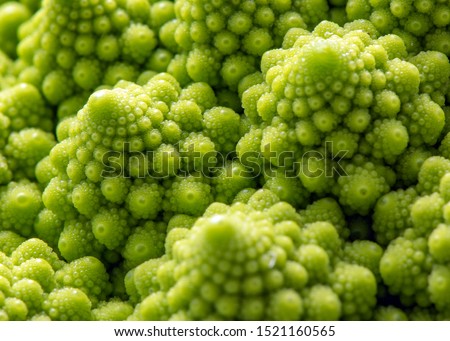 Romanesco, vegetable with a repeated construction called fractal geometry Royalty-Free Stock Photo #1521160565