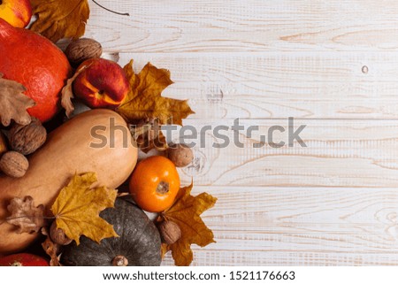 Different vegetables, pumpkins, apples, pears, nuts, tomatoes and dry yellow leaves on white wooden background. Autumn mood, copy space.