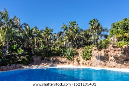 Palm and tropical beach , tropical background