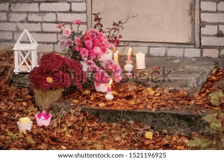chrysanthemums with burning candles in the autumn garden