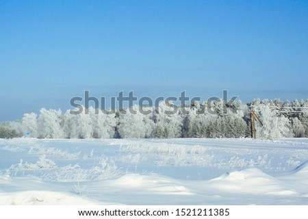 Winter snow forest background. Landscape and cold nature with snowy trees. White ice scene and blue sky. Christmas frost. Frozen xmas. Outdoor wonderland. Panorama. Scenic view like in fairytale.
