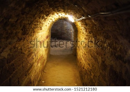 dark brick dungeon with dim light