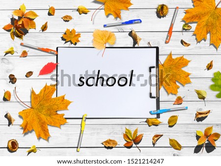 Back to school concept. Top view banner school pencils next to tree sketch with autumn dry leaves over classroom blackboard background