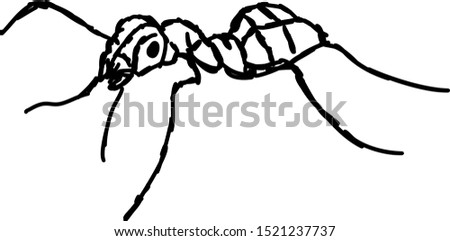 Ant drawing, illustration, vector on white background.