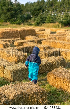 Kid enters a maze made of hay