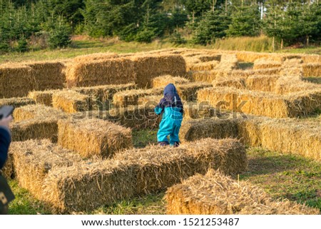 Kid enters a maze made of hay