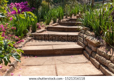 A close up view of concrete stairs leading upto another level in a open garden 