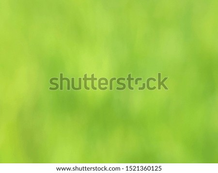Green field background - blurry bokeh light