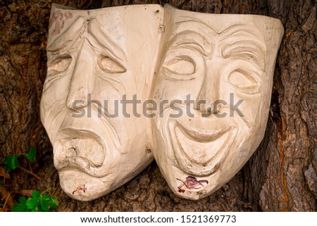 closeup of two wooden masks one cheerful and the other sad on a tree bark