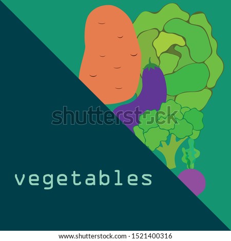 Cabbage, beet, eggplant, potato, broccoli, fresh vegetables. Organic food poster. Farmer market design. Vector background