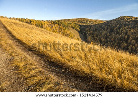 Autumn in the forest, in the mountains. Yellow field on a background of mountains and blue sky. The road to the mountains.