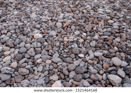Photo Picture abstract background with dry round reeble stones