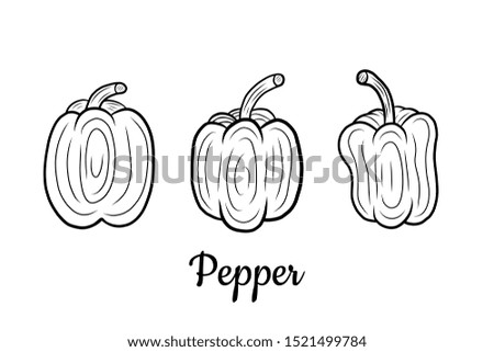 Hand drawn Pepper set isolated on a white. Paprika. Vegetables drawings. Vector illustration.